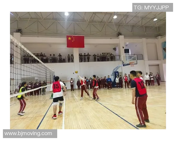 西安排球队心理素质强势领跑排球界TOP10分析与解读