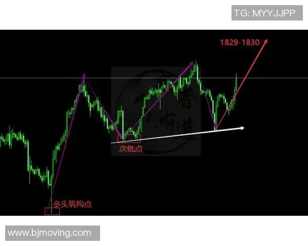 独家分析：上海羽毛球队的节奏对比